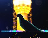عکس مرحله 1 از دستور 🖤لوبیاپلوی نذری شهادت امام رضا (ع)🖤