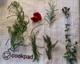 Fermentierte 🌻Sonnenblumenkerne Kräuterkäsetörtchen Rezeptschritt 3 Foto