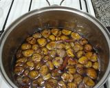 Foto del paso 9 de la receta: Castañas en almíbar