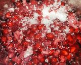மாதுளம் பழ மில்க் ஷேக் (Maathulampazha milkshake recipe in tamil) ரெசிபி ஸ்டேப் 1 புகைப்படம்