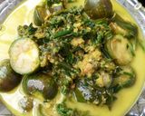 Foto langkah ke 7 dari resep Gulai Pakis & terong Bulat.