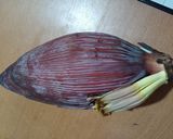 Foto langkah ke 1 dari resep Sayur jantung pisang.