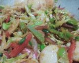 સેઝવાન મીની ઈડલી ફ્રાય (Schezwan Mini Idli fry Recipe In Gujarati) રેસીપી સ્ટેપ4ફોટો