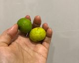Foto langkah ke 2 dari resep Tim ikan gurame hongkong.
