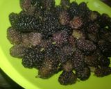صورة لخطوة 1 من وصفة مربا توت