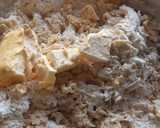Foto del paso 2 de la receta: Conchas