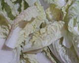 Foto langkah ke 1 dari resep Kimchi ala hitara kitchen.
