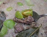 Foto langkah ke 4 dari resep Asem-asem Daging Kuah Santan.