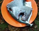 Foto langkah ke 1 dari resep Ikan bakar teplon.