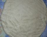 Foto del paso 4 de la receta: Pan Dulce Navideño
