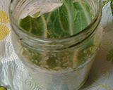 A picture of step 2 of Sauerkraut, my version.