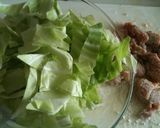 A picture of step 2 of Cabbage and Chicken Asian Stir-fry.