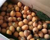 A picture of step 10 of How to Peel a Loquat.