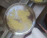 गव्हले खीर (Gavhle Kheer Recipe In Marathi) रेसिपी स्टेप 3 फोटो 