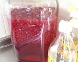A picture of step 9 of Red Currant Sour Drink.