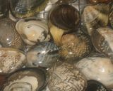 A picture of step 2 of Rich Kombu Seaweed Flavour Manila Clam Miso Soup.