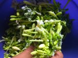 Tumis Kangkung Bunga Pepaya