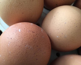 Foto del paso 1 de la receta: Huevos rellenos con atún 🥚 🐟