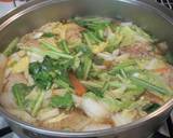 Chinese Cabbage and Meatball Soup recipe step 5 photo