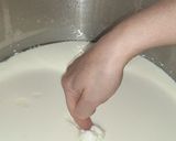Foto del passaggio 12 della ricetta Cacioricotta lucano-pugliese