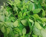Hình bước làm 1 của món Canh Chùm Ngây Nấu Thịt Bò