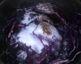Sig's Red stuffed Cabbage recipe step 1 photo