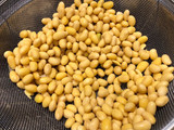 Homemade fresh soy milk