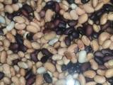 Spicy Mexican Beans Salad 🇲🇩