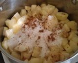 A picture of step 1 of Vickys Caramelized Pear Jam with Variations, GF DF EF SF NF.