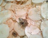 A picture of step 1 of layered potatoes.