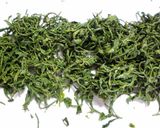 A picture of step 7 of Home-Grown Fresh Green Tea: How to Process Freshly Picked Green Tea Leaves In a Microwave.