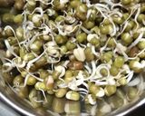 સ્પ્રાઉટ્સ ચાટ દહીંપુરી(Sprouts chat dahipuri recipe in Gujarati) રેસીપી સ્ટેપ1ફોટો
