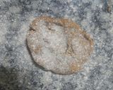 Foto del paso 6 de la receta: Crackers de Arvejas, Zanahorias y Semillas (Apto Diabéticos)