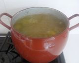 Foto del paso 11 de la receta: Caldo de palomas torcaces