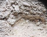 A picture of step 1 of Sprouted Ragi smoothie.