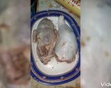 صورة لخطوة 4 من وصفة حمام كداب بالدجاج
