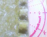 A picture of step 6 of Fresh Plin Ravioli.