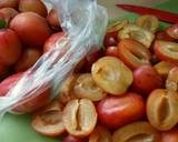 Vickys Asian-Style Plum Sauce, GF DF EF SF NF recipe step 1 photo