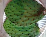 breaded and fried cactus recipe step 1 photo