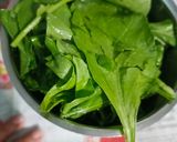 પાલક પરાઠા (Palak Paratha Recipe In Gujarati) રેસીપી સ્ટેપ1ફોટો