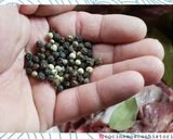 Foto del paso 3 de la receta: Puchero Criollo