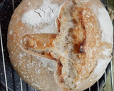 Foto del paso 8 de la receta: Pan de Masa madre