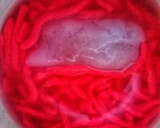 Cendol simpel banget - Step 2