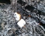 A picture of step 2 of Chocochip S'Mores.