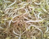 Foto langkah ke 5 dari resep Soto Ayam.