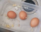 Foto langkah ke 1 dari resep Tamago setengah matang.
