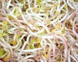 Foto langkah ke 2 dari resep Tumis touge buncis tempe sehat.