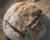 Foto del paso 5 de la receta: Pan de aceitunas negras en mambo