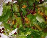 Bitter, Sweet and Nutty Salad recipe step 3 photo