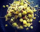 A picture of step 3 of Sprouted Green Peas Sundal.